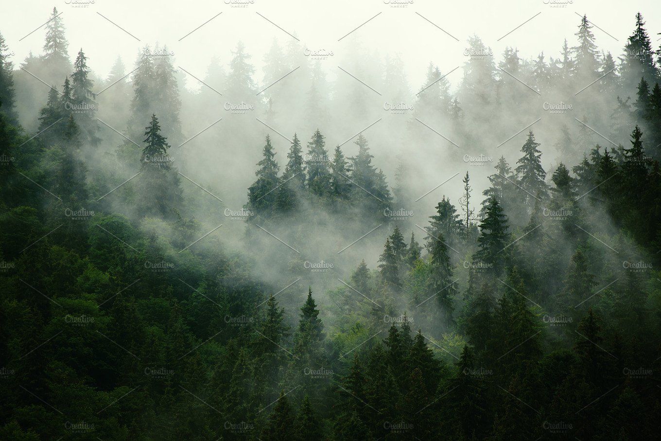 4K Foggy Landscape Wallpapers