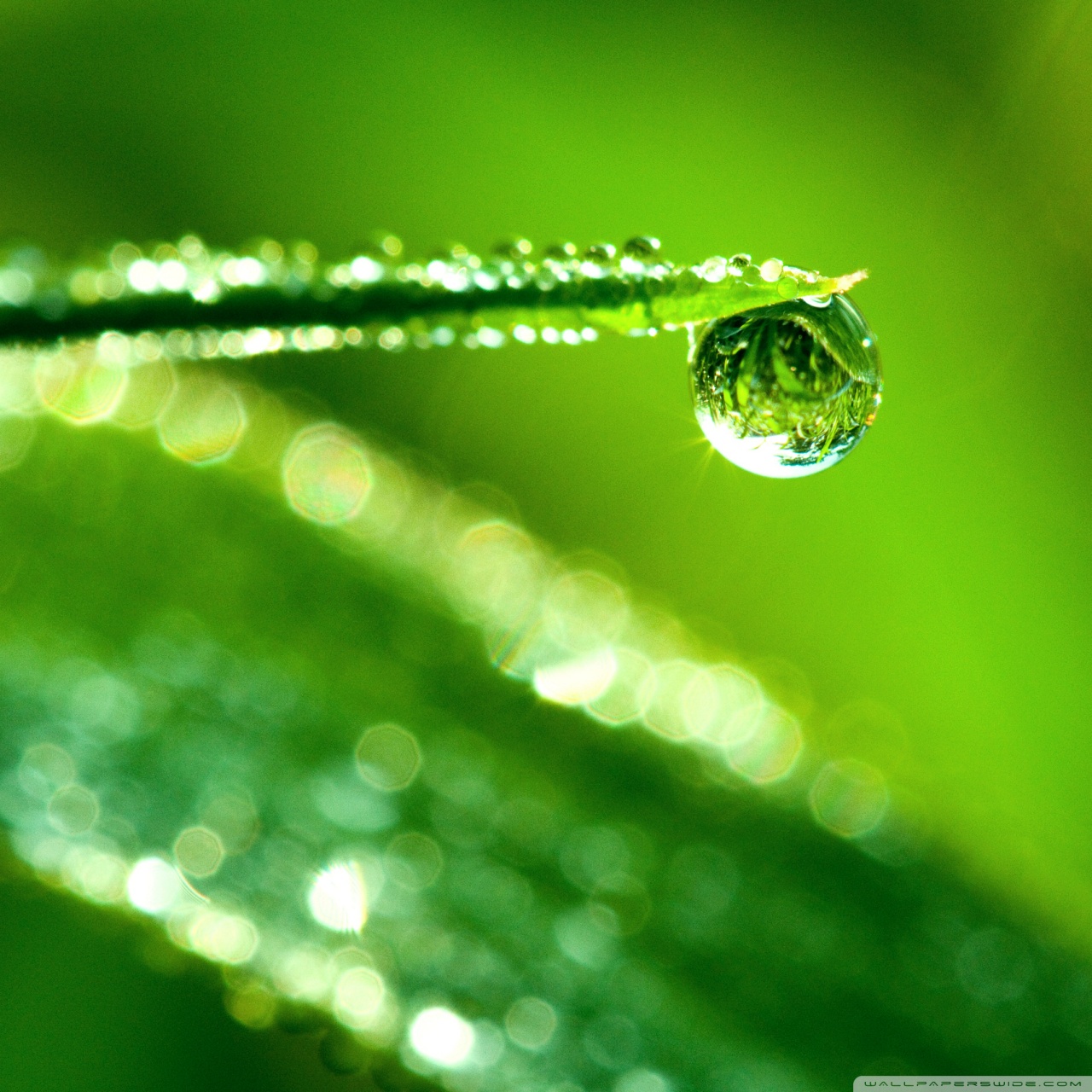 Water Drop Reflection Wallpapers
