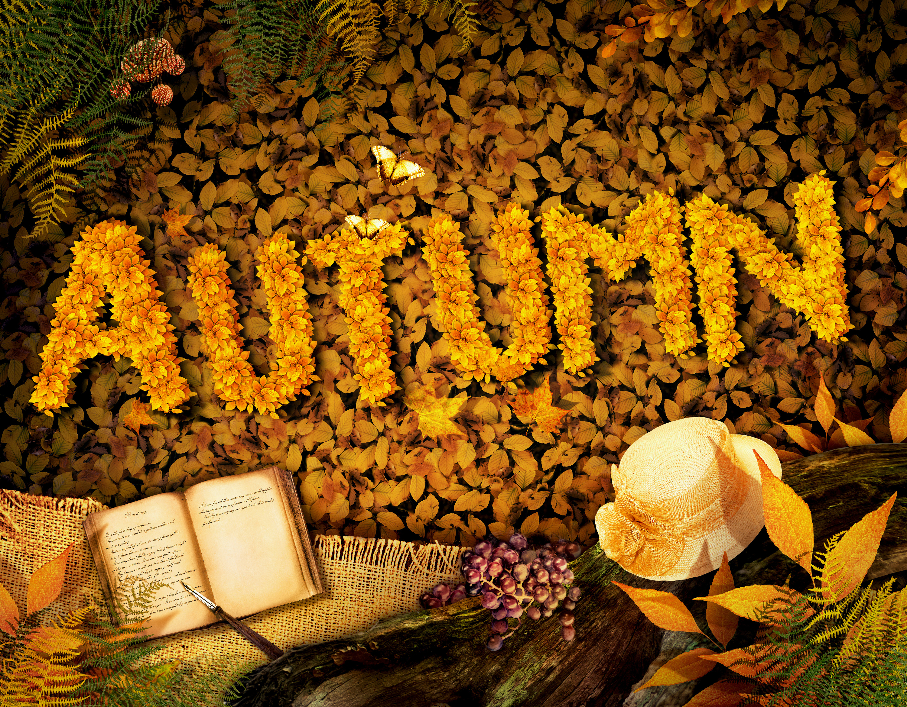 Wild Autumn Wallpapers