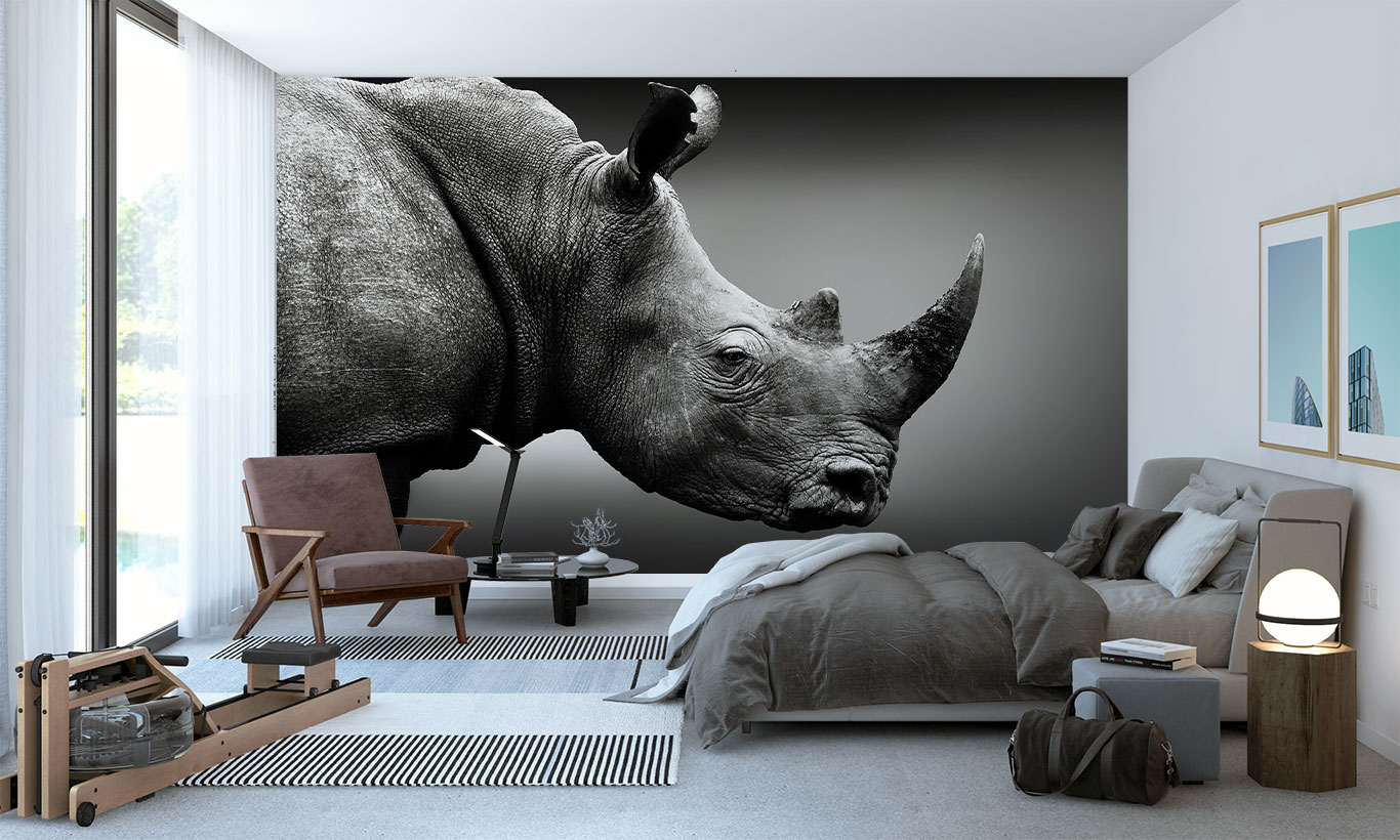 White Rhinoceros Wallpapers