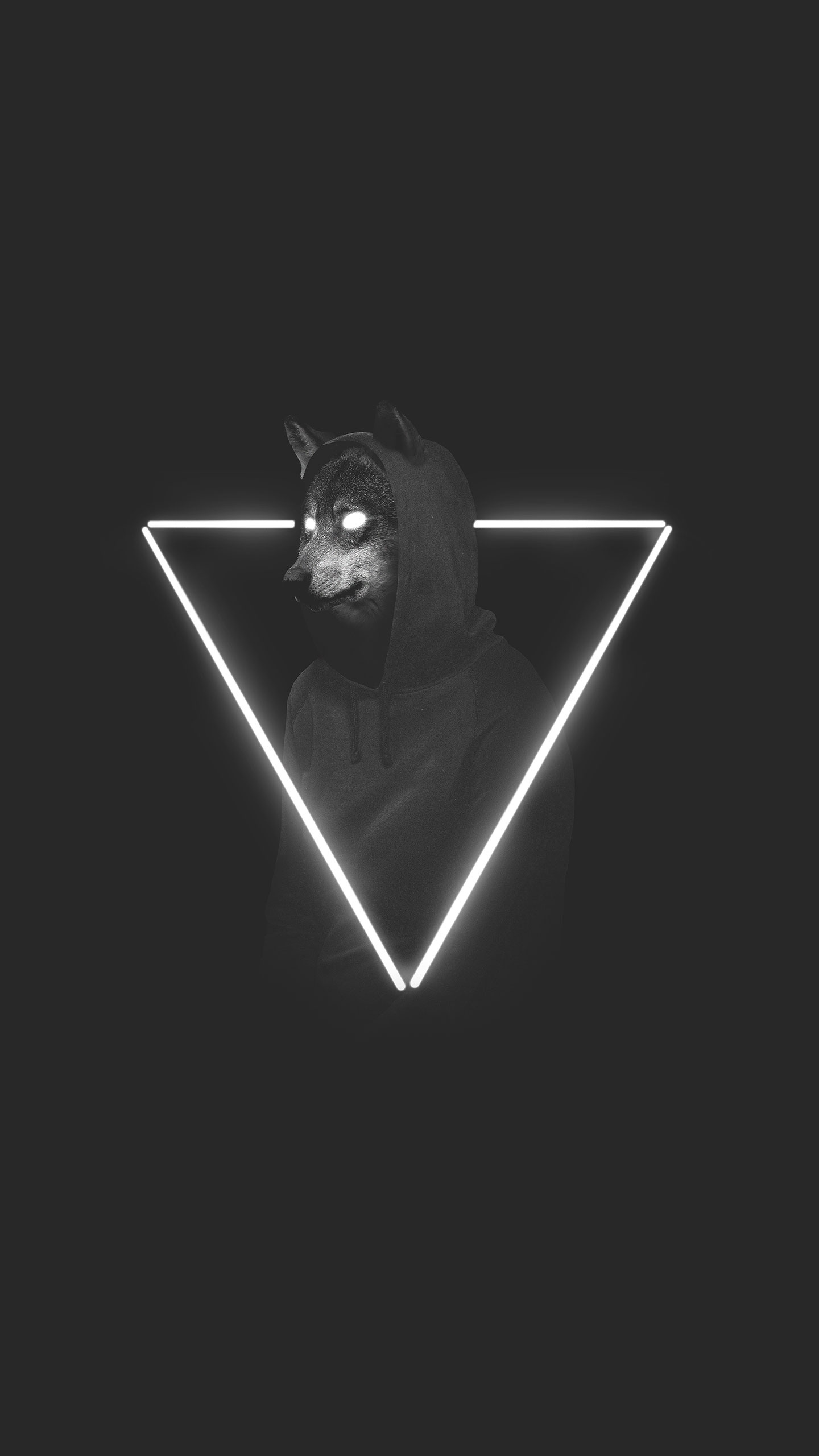 Wolf Aesthetic Wallpapers