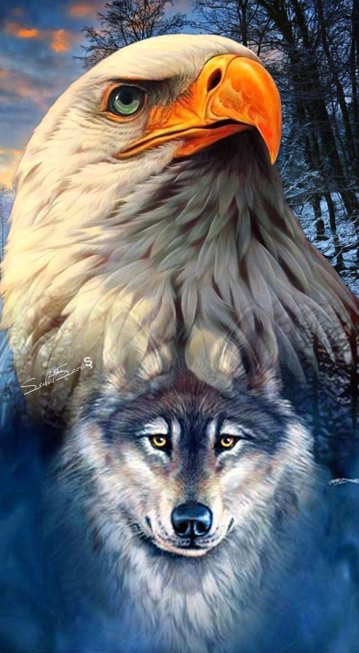 Wolf And Eagle Wallpapers
