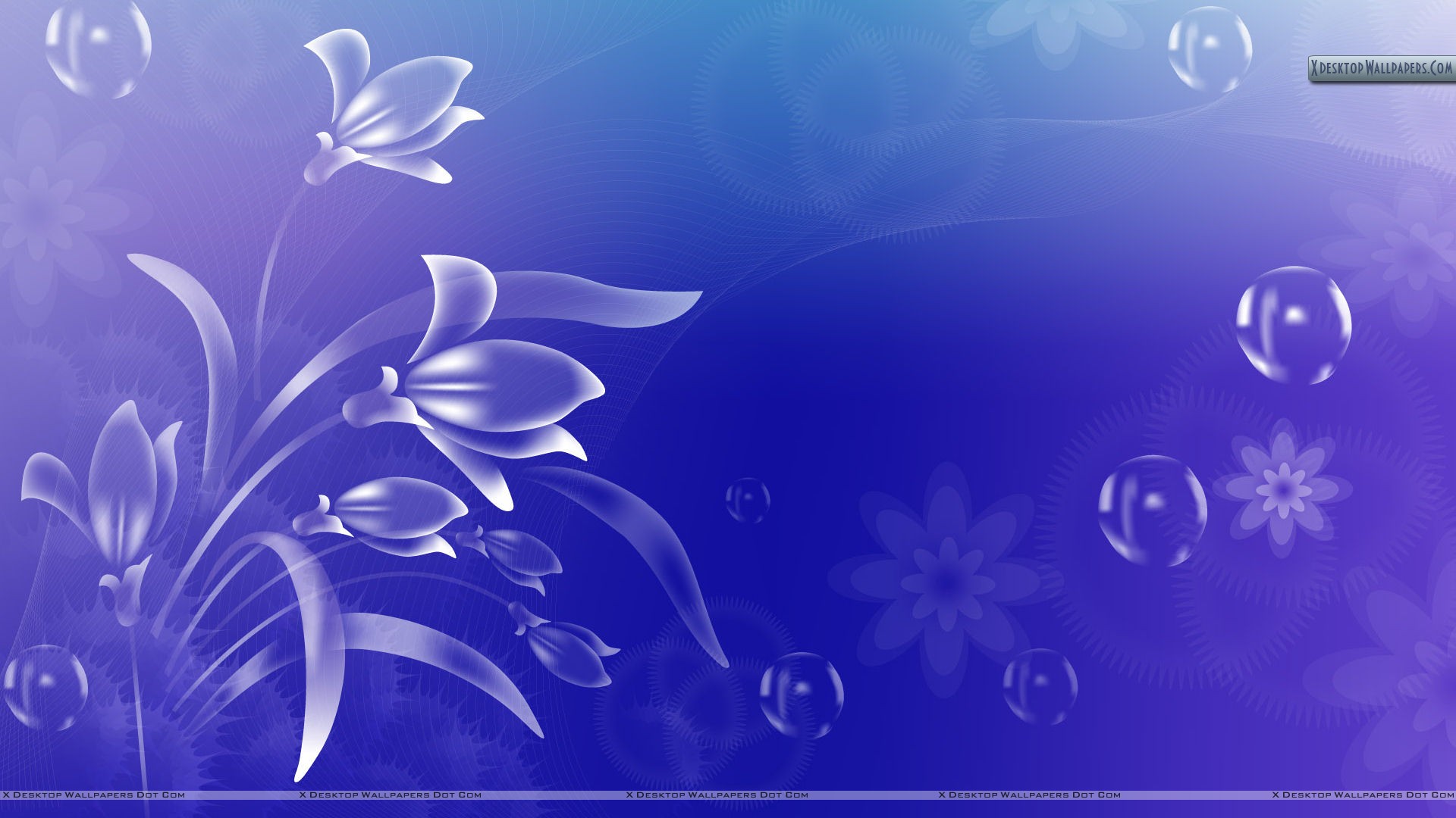 Abstract Floral Desktop Wallpapers
