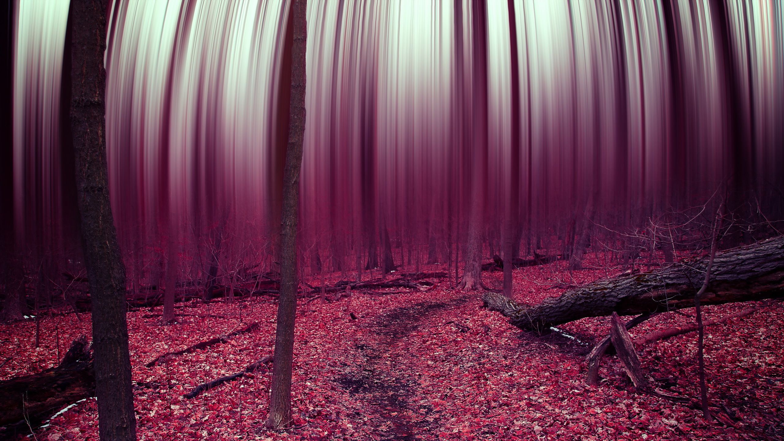 Abstract Forest Wallpapers