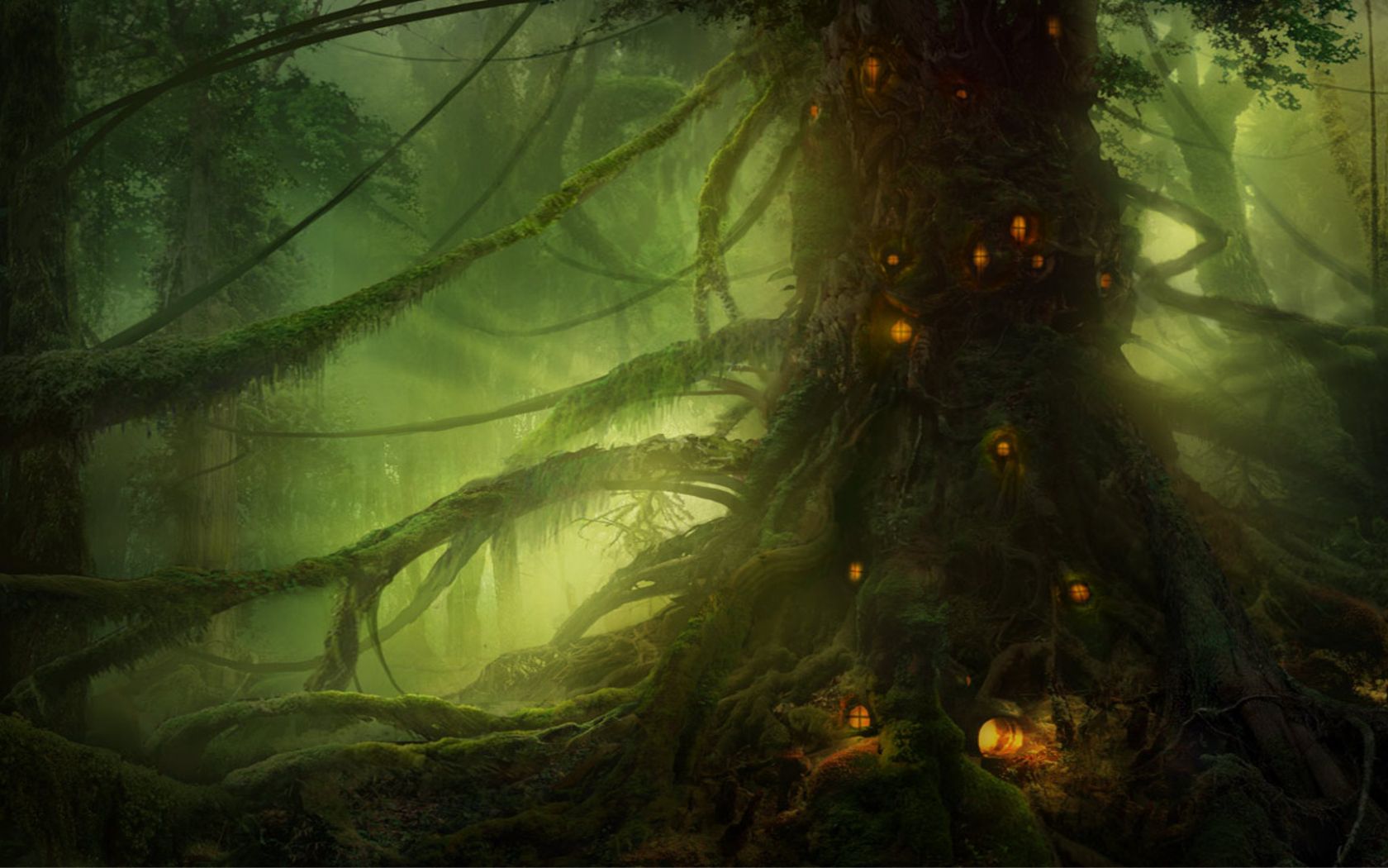 Sunset Fantasy Illustration, Light Trails Forest
 Wallpapers