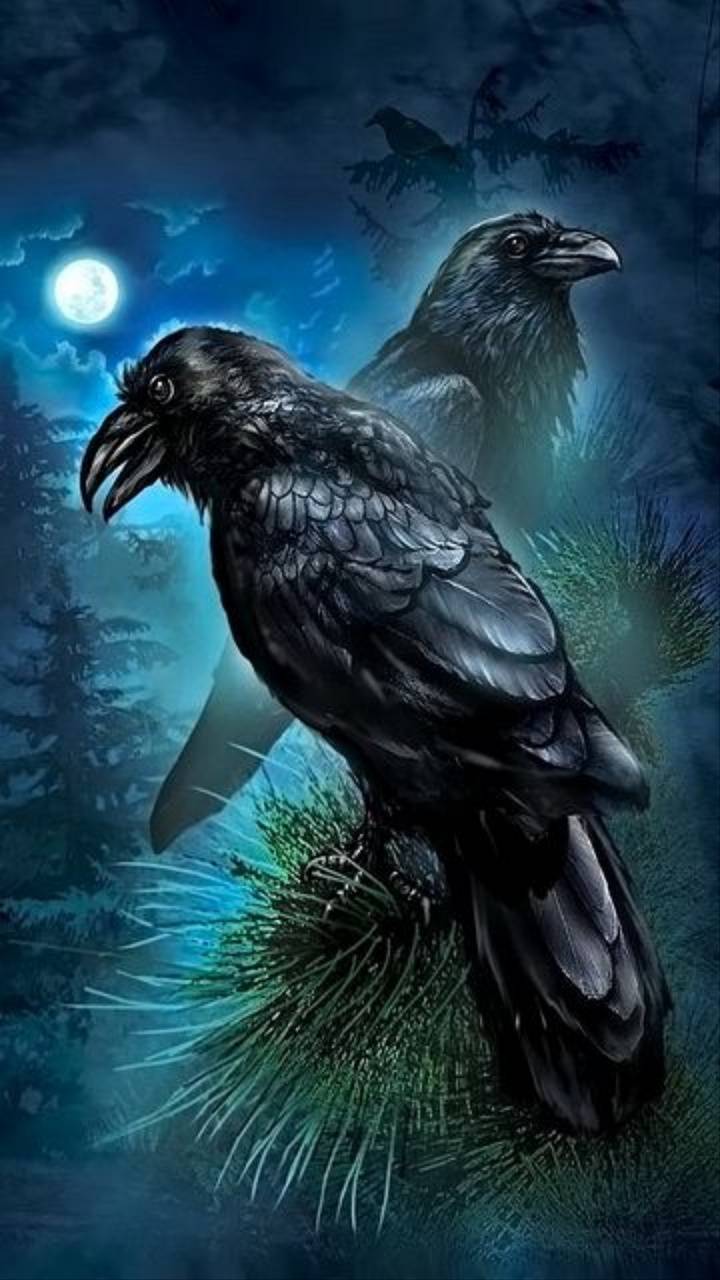 Cool Crow Wallpapers