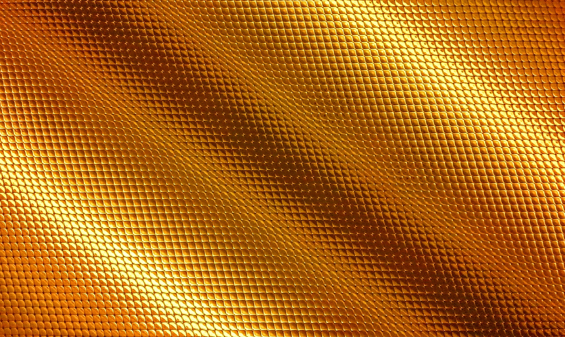 Golden Snake Wallpapers