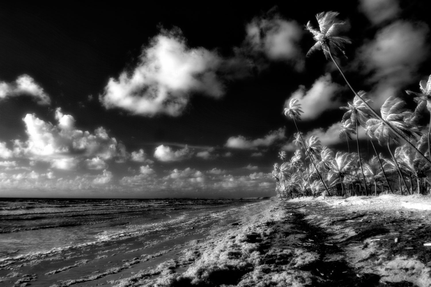 Wallpaper Black And White Photography Wallpapers