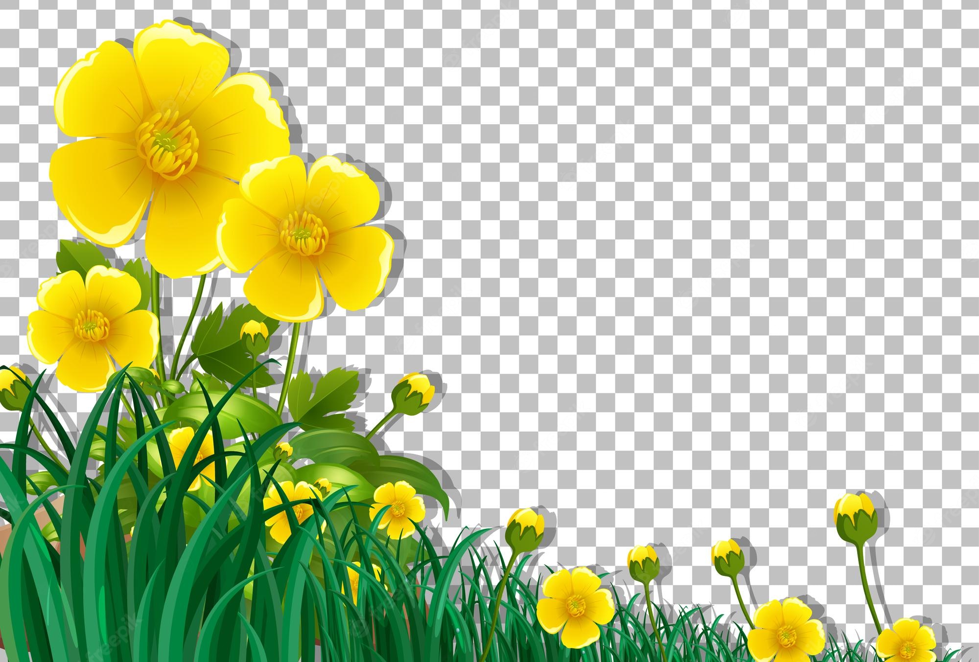 Yellow Flower Field Background