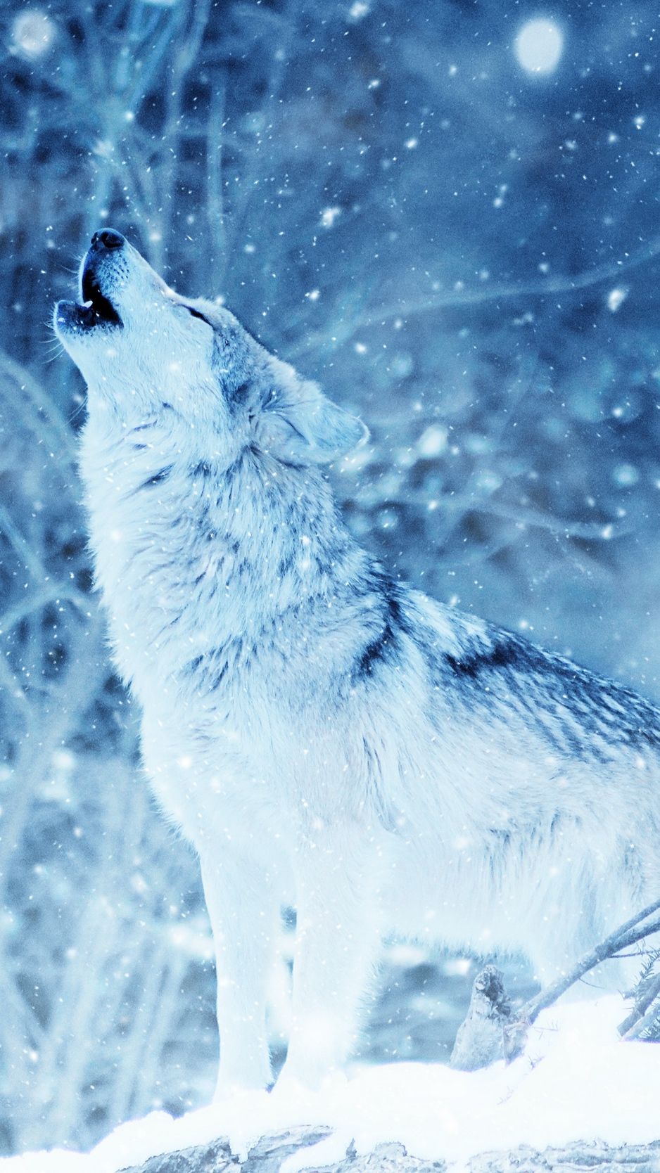 Wolf Phone Background