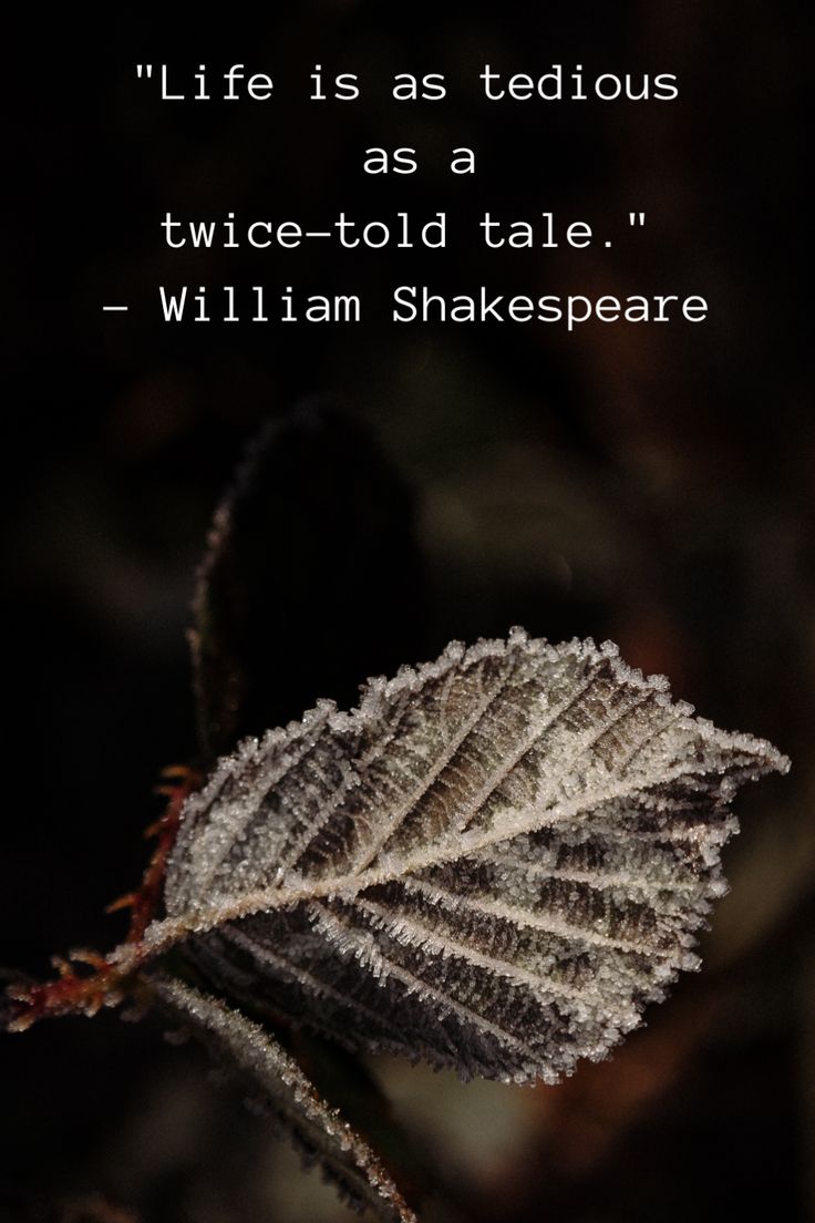 William Shakespeare Backgrounds